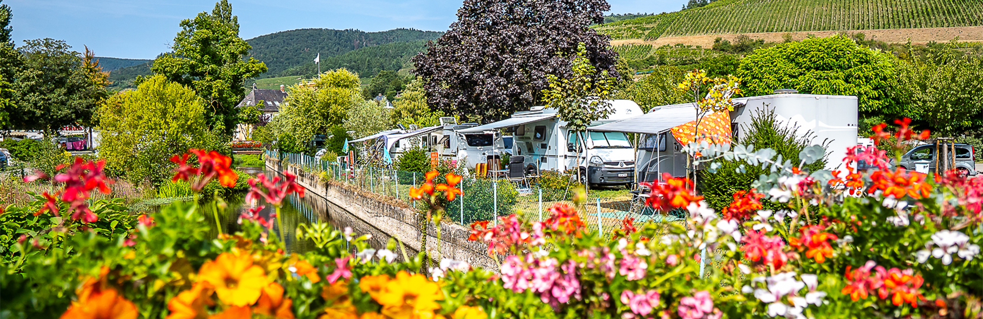 Camping le Médiéval ligt in het hart van de Elzasse wijngaarden, in de regio Grand-Est