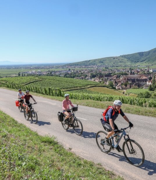 Cycling tourism in Alsace and its surroundings