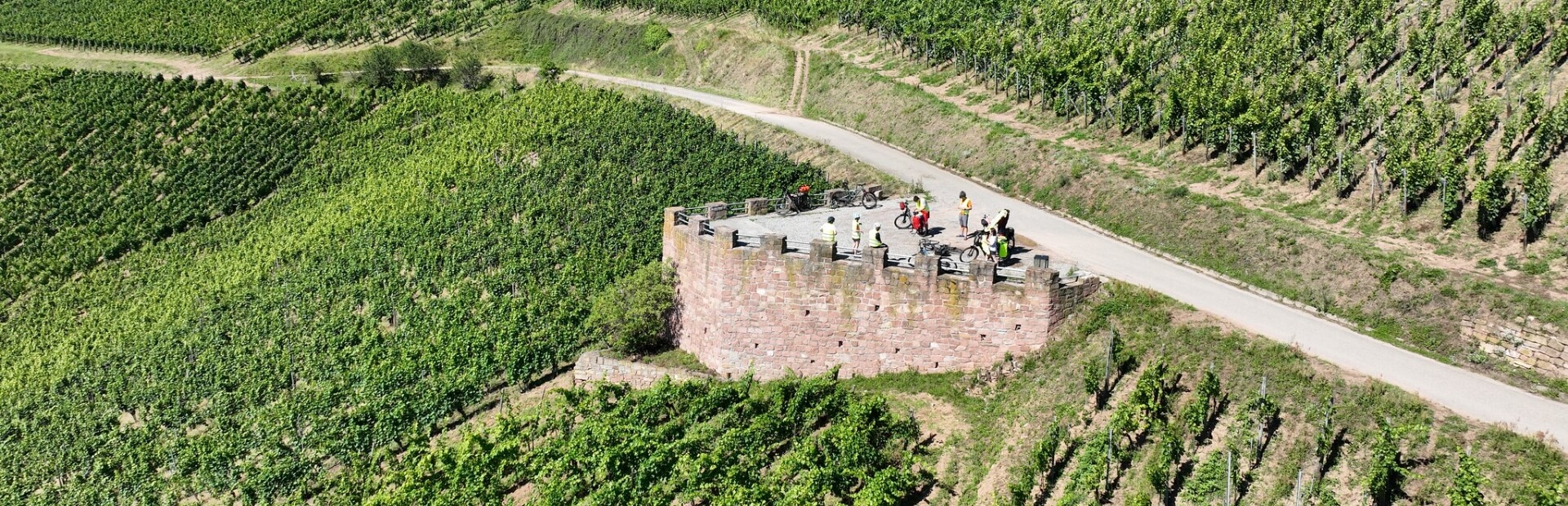 Entdecken Sie während Ihres Aufenthalts auf dem Campingplatz Le Médiéval die zahlreichen Radwege im Elsass