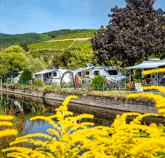 die Stellplätze für Zelte auf dem Campingplatz 